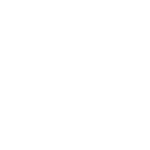 Icon1-1