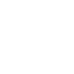 Icon2-1